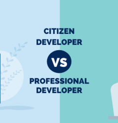 citizen developer vs. professional developer