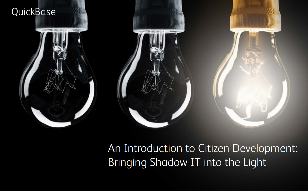 An Introduction to Citizen Development - Bringing Shadow IT into the Light