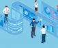 citizen development roles and responsibilities