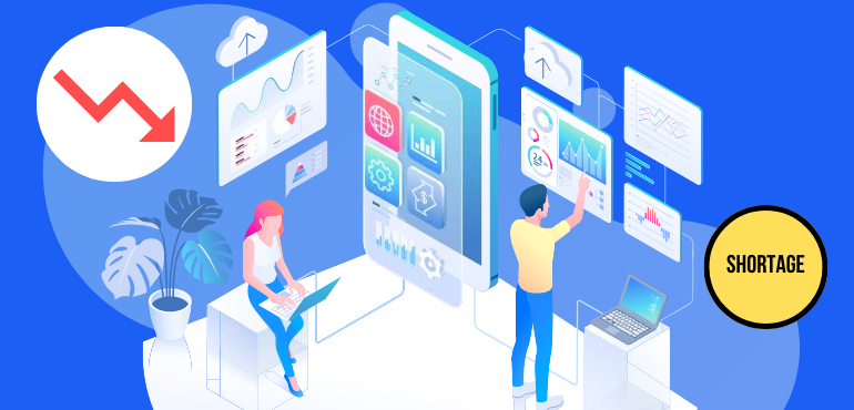 Shortage of professional developer