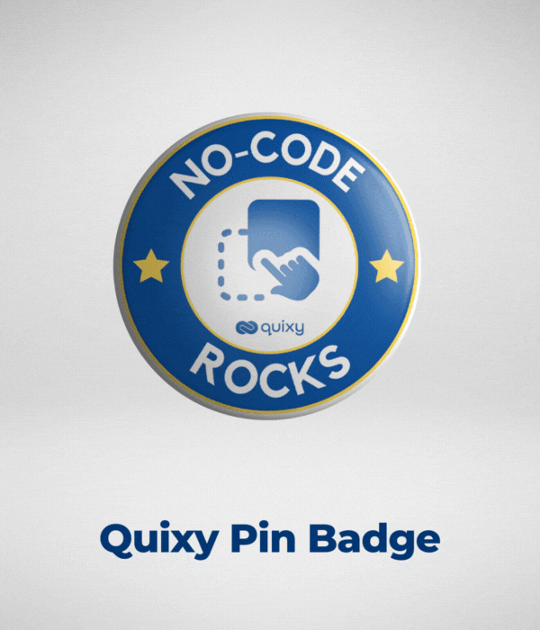 Quixy Pin Badge
