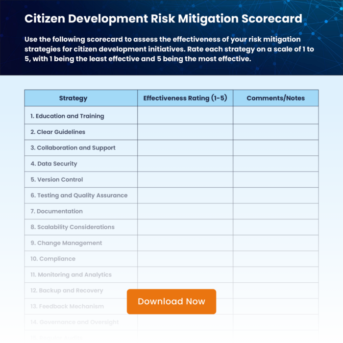 Navigating Project Risks in Citizen Development | Quixy